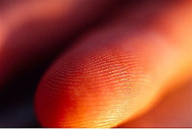 网传B社大作《星空》Bug有些多 还需要好好打磨